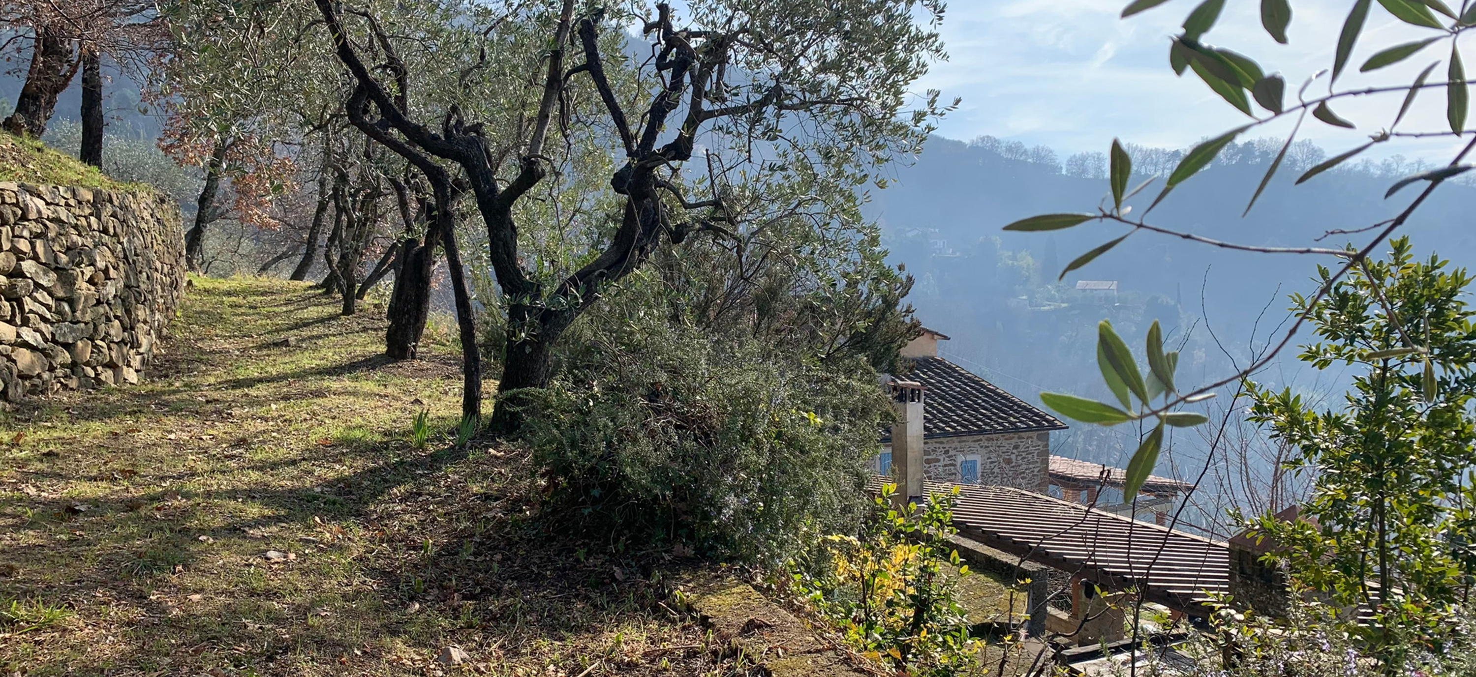 Il giardino